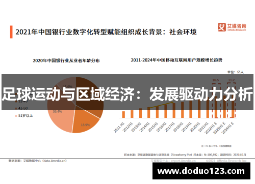 足球运动与区域经济：发展驱动力分析