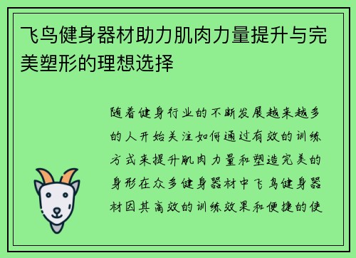 飞鸟健身器材助力肌肉力量提升与完美塑形的理想选择